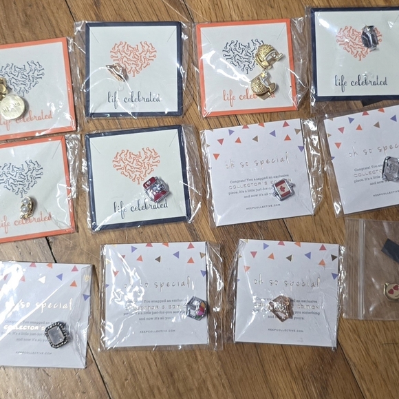 Keep Collective Lot - charms, bands, storage, more. - Picture 9 of 12